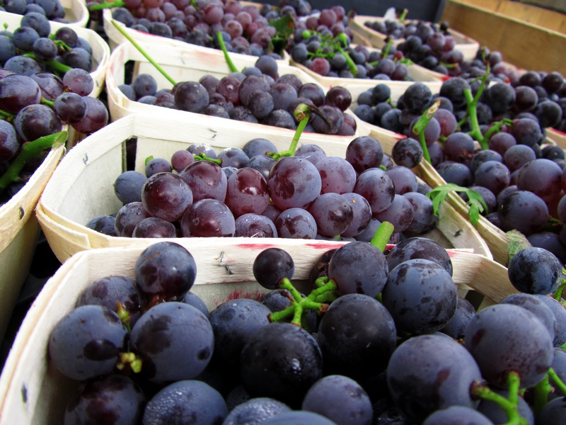 IMG_0852-grapes.jpg