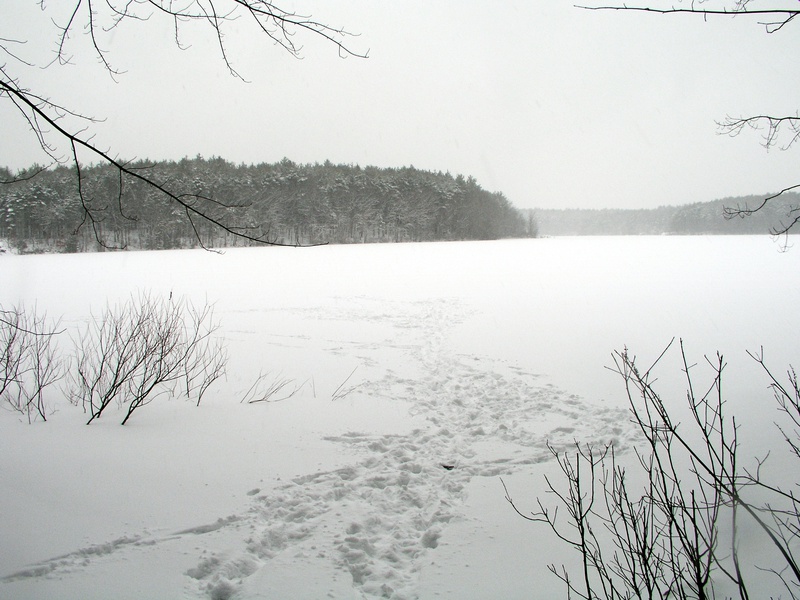 frozen-lake.jpg