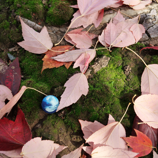 IMG_0654-leaves.jpg